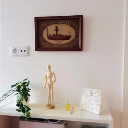 公寓 Espelho Da Ria No Coracao De *